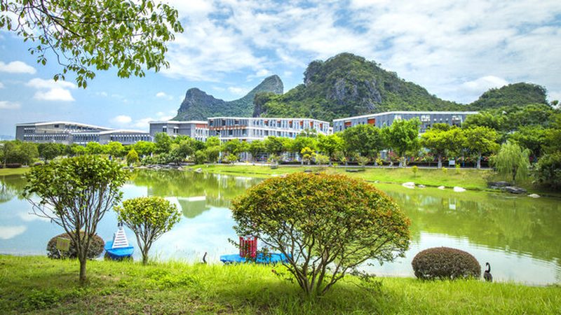 深圳国产芯片厂家对比