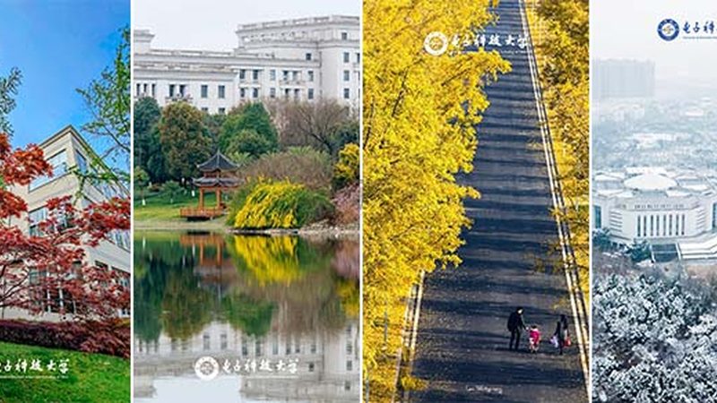 电子元器件，支撑现代科技的基石